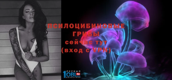 прущая мука Гусиноозёрск
