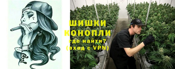 ALPHA PVP Горнозаводск