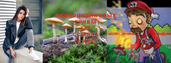 круглые Гусь-Хрустальный